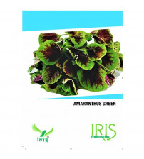 Iris Imported Amaranthus / Rajgiri Green 15 Seeds